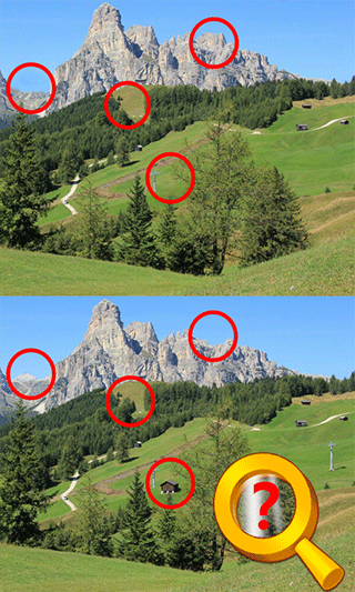 找茬高高手官方版