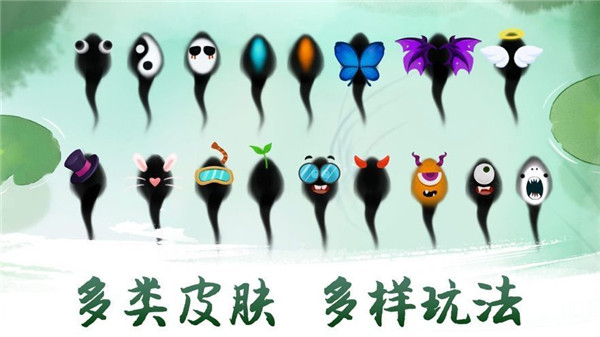 鱼戏荷塘官方正版