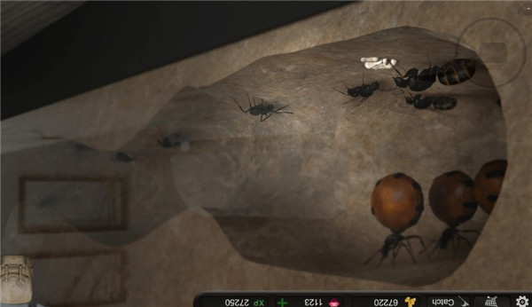 蚂蚁模拟大亨官方版