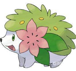 口袋妖怪漆黑的魅影6.0金手指手机版