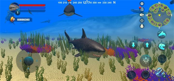 巨齿鲨模拟器最新版(Megalodon Simulator)