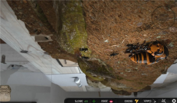 蚂蚁模拟大亨官方版