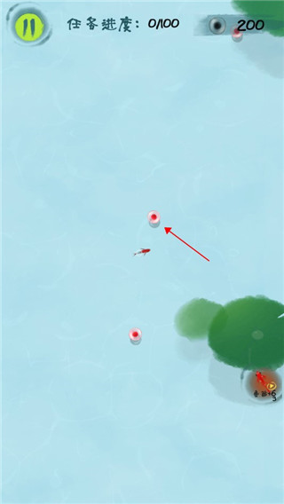 鱼戏荷塘官方正版