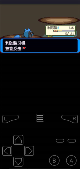 口袋妖怪决心汉化版