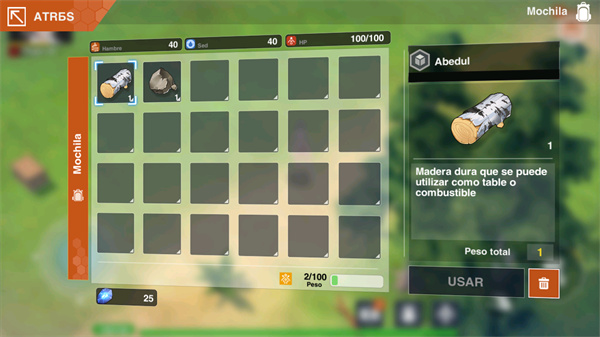 感染少女2终末之人游戏