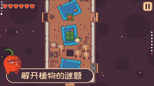 大头菜小子偷税记最新版