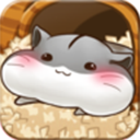 仓鼠的生活游戏中文版