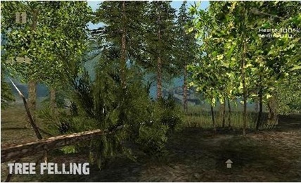 7天生存森林破解版