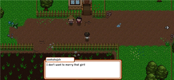 爱情和生活模拟rpg最新版