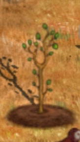 希望之村2来生官方版