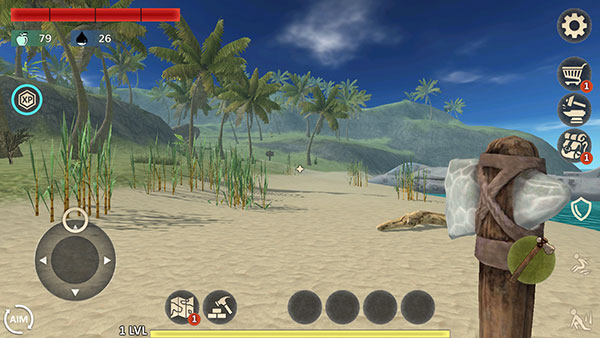 幸存者冒险生存岛中文版(Survivor Adventure)