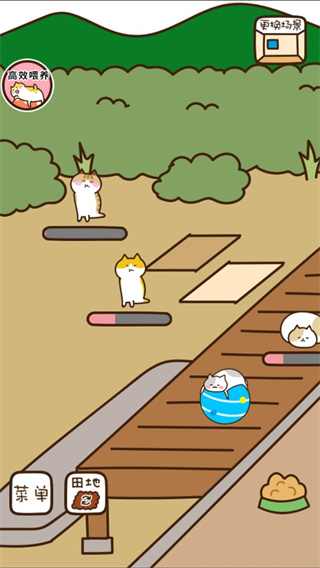 猫咪田园游戏