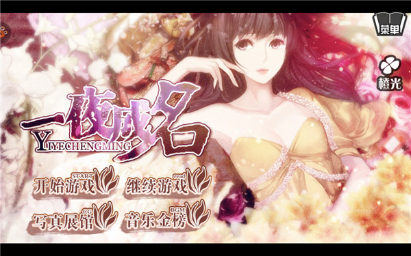 一夜成名游戏官方版
