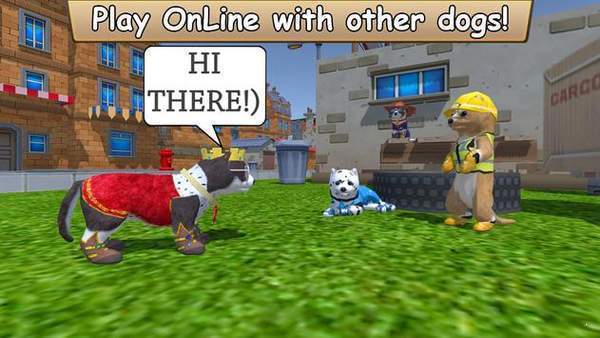 美国zoom动物游戏