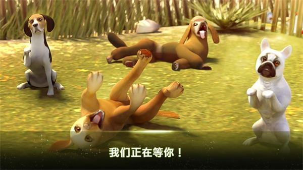 我的寄宿狗屋游戏(DogHotel)