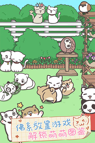 猫咪饲养日常官方版