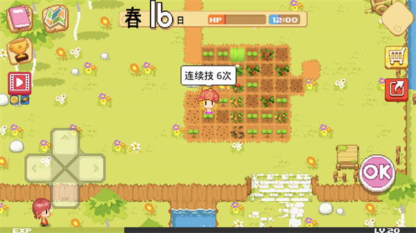 公主的农场故事国际服(The Farm)