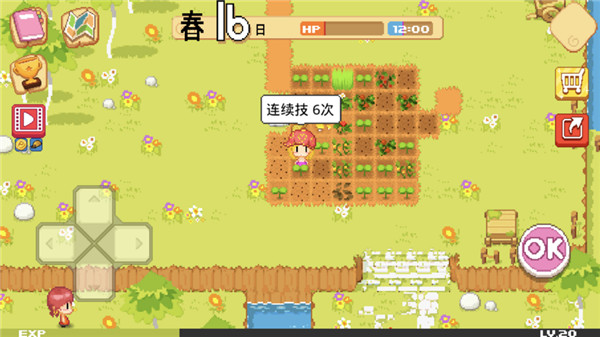 公主的农场故事国际服(The Farm)