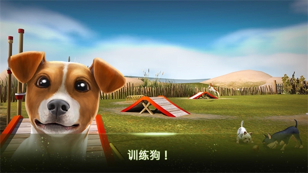 我的寄宿狗屋游戏(DogHotel)