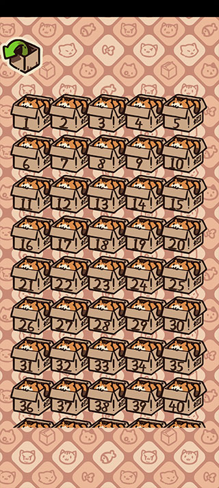 盒子猫最新版本