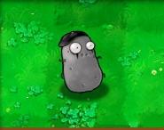 植物大战僵尸原版手机版最新版