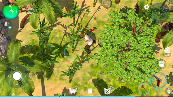 生存主义者入侵官方版(Survivalist invasion)