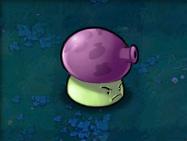 植物大战僵尸原版手机版最新版