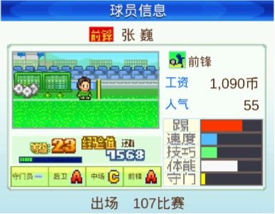 冠军足球物语1汉化最新版