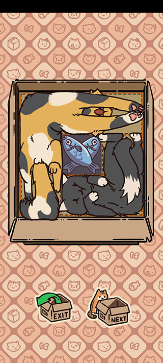 盒子猫最新版本