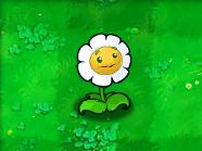 植物大战僵尸原版手机版最新版