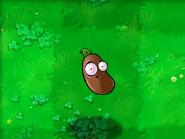 植物大战僵尸原版手机版最新版