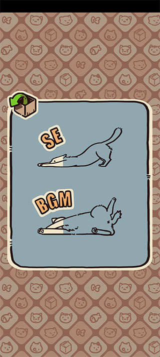 盒子猫最新版本