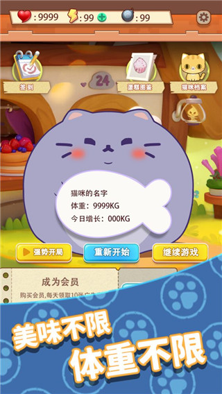养只大肥猫游戏