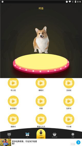 人狗猫交流器app
