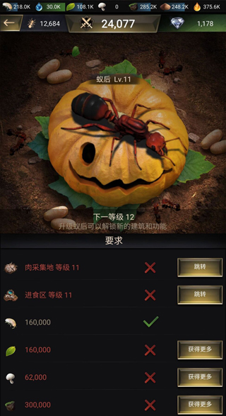 小小蚁国国际服最新版