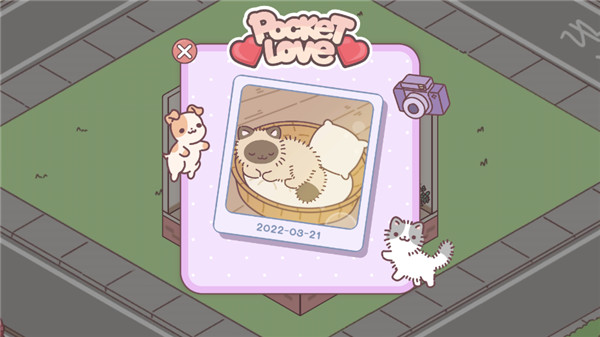 袋中爱中国之家游戏