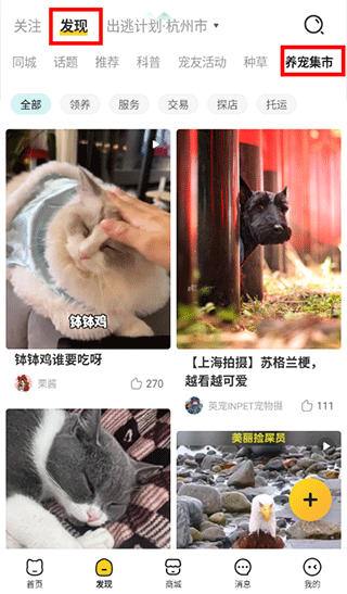 宠胖胖软件官方版