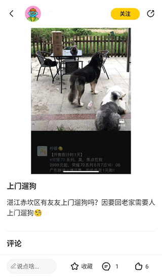 宠胖胖软件官方版