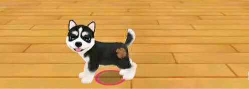 晴天小狗2百度版