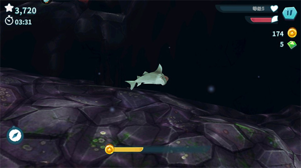 饥饿鲨进化国际服最新版2024