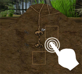 最后的蚂蚁手游(Finally Ants)