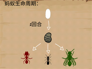 最后的蚂蚁手游(Finally Ants)