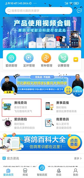 爱鸽者官方版app