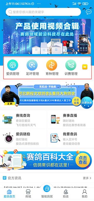 爱鸽者官方版app
