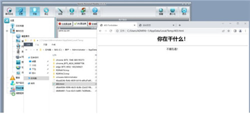 Spyrix Personal Monitor(电脑使用记录监控软件)