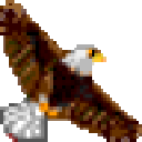 realface上网行为管理工具