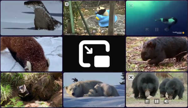 火狐浏览器linux版本