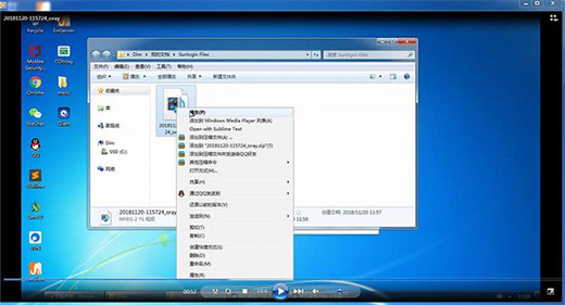 向日葵企业版被控端