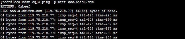 ICMPing(批量ping工具软件)