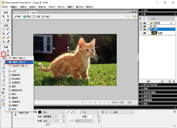 fireworks cs6中文版